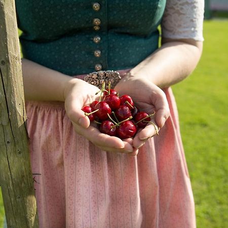 Obstgarten Gaestehaus Hollenstein an der Ybbs Ngoại thất bức ảnh