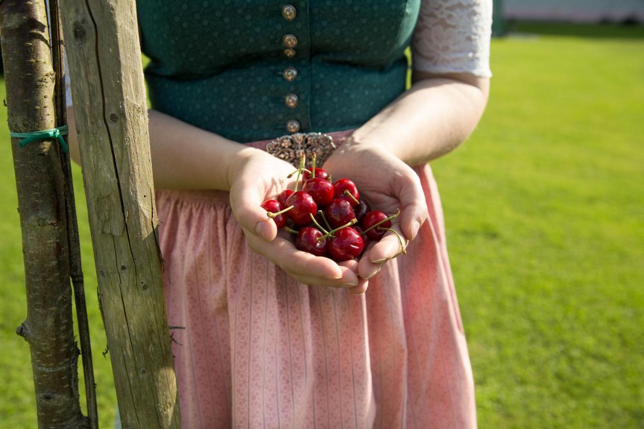 Obstgarten Gaestehaus Hollenstein an der Ybbs Ngoại thất bức ảnh