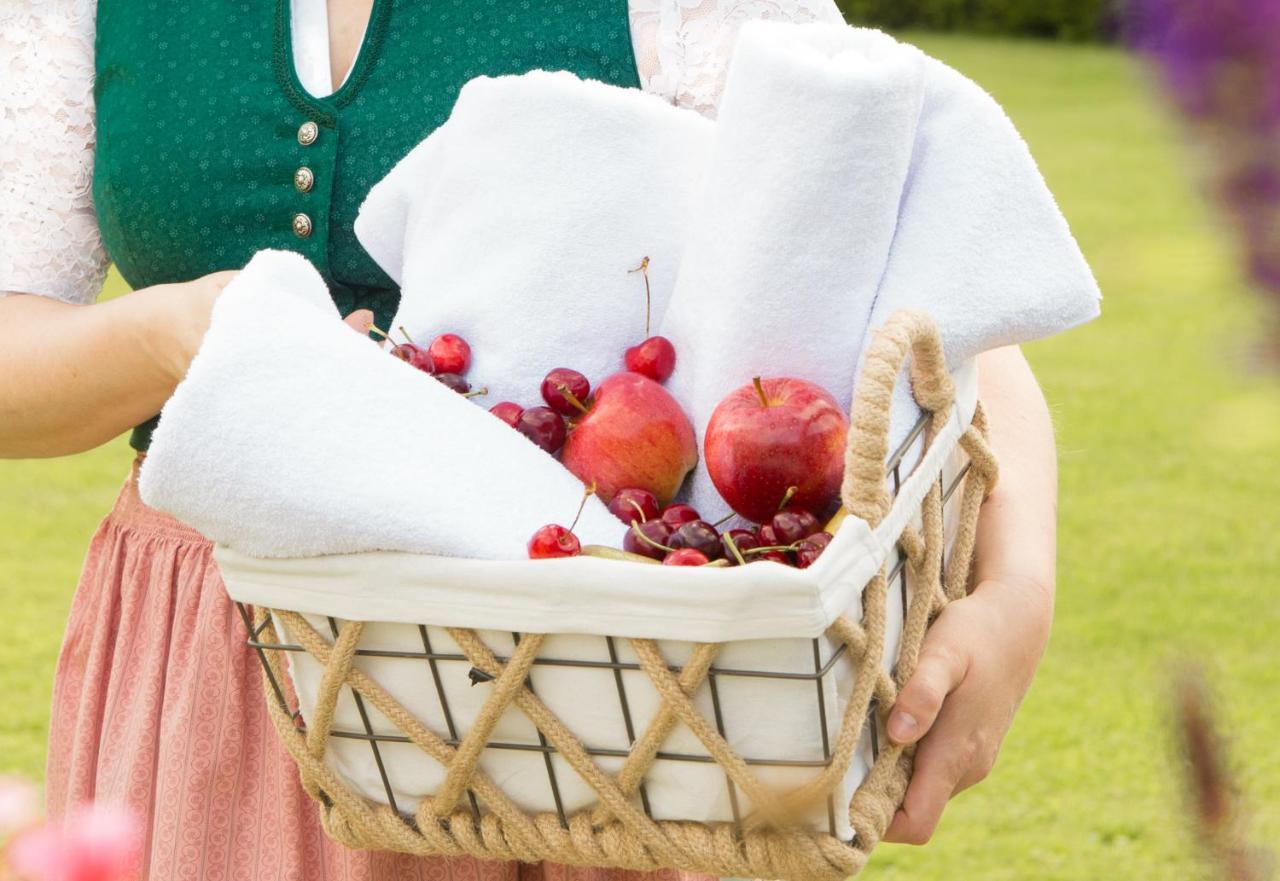 Obstgarten Gaestehaus Hollenstein an der Ybbs Ngoại thất bức ảnh